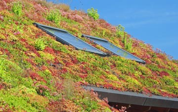 Middle Handley living roof systems