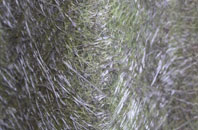 Middle Handley fibreglass roof work